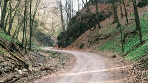 Read more about the article Self-Editing Your First Draft: A Simple Order